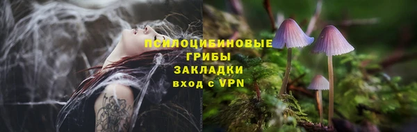 таблы Алексин